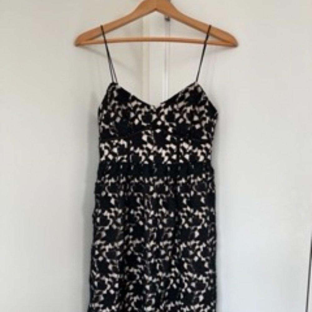 Club Monaco Lace Dress